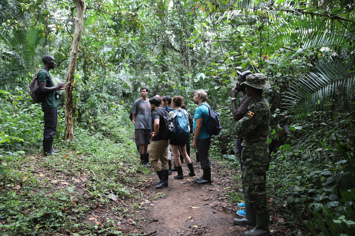 Bigodi Wetlands Sanctuary