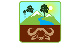 logo2